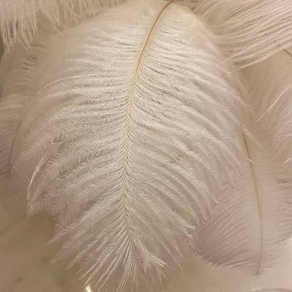 Lampe de Chevet Plume – Élégance et Lumière Douce